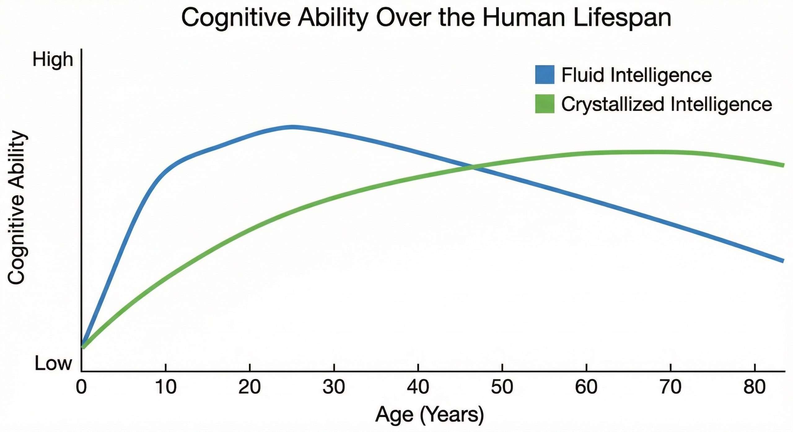 Line graph comparing Fluid Intelligence vs Crystallized Intelligence aging trajectory